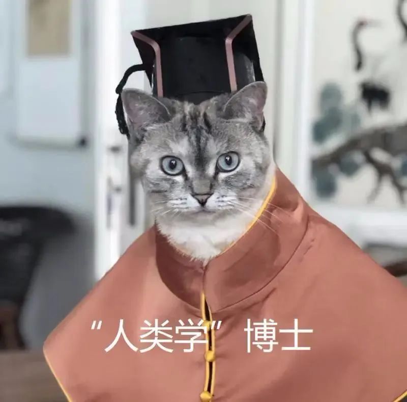 中央美院“學(xué)士服”美上熱搜！網(wǎng)友：這是什么神仙設(shè)計(jì)？