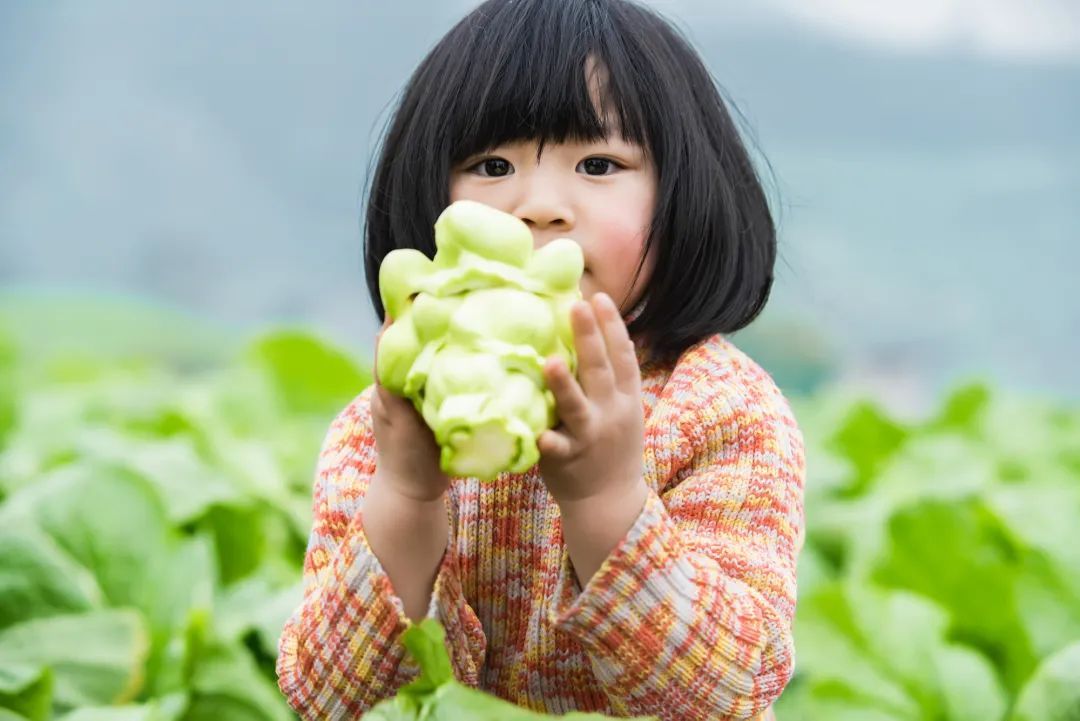 中國國家地理為《烏江》拍紀(jì)錄片，探索一包榨菜的前世今生