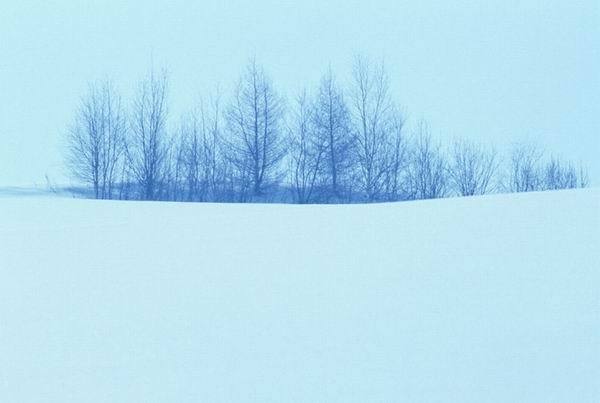 冰雪攝影技巧大盤點(diǎn)