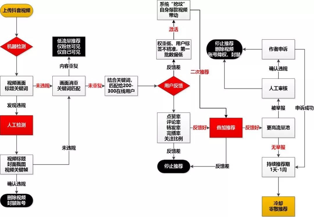 鳥(niǎo)哥筆記,新媒體運(yùn)營(yíng),松露,冷啟動(dòng),短視頻