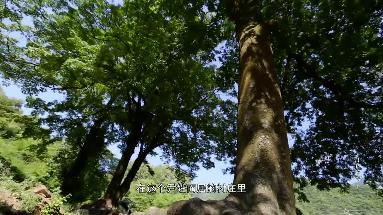 第三集 青泥流韻