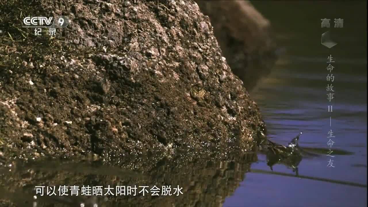 紀錄片 生命的故事 謝猛配音 梵曲音頻制作工作室